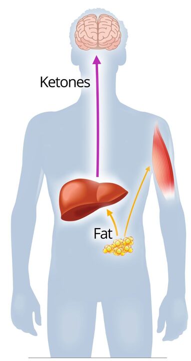 Ketosis na may Nexaslim
